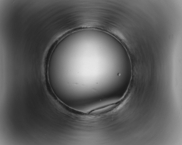 X0000089891122200707121826