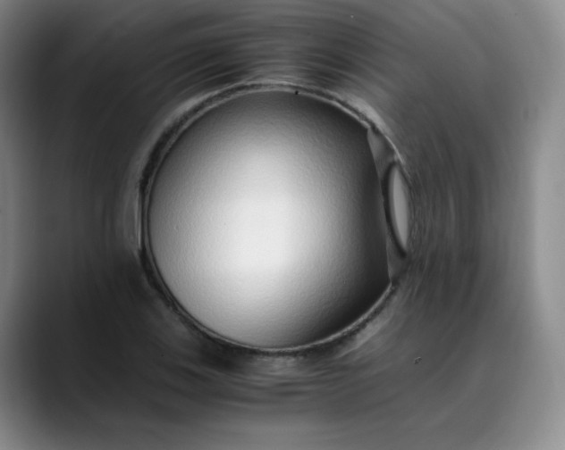 X0000089891123200707121826