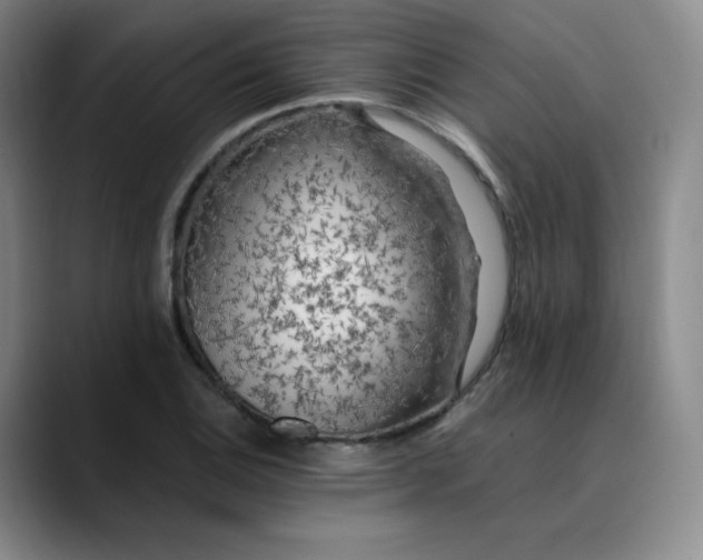 X0000089891124200707121826