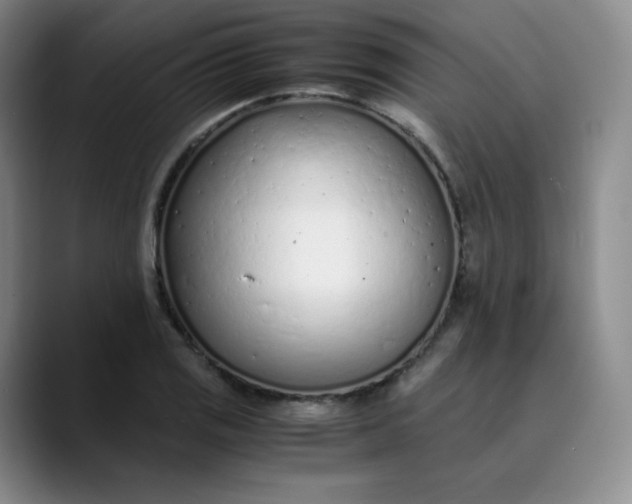 X0000089891125200707121826