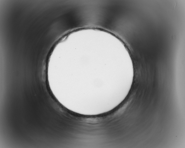 X0000089891126200707121826