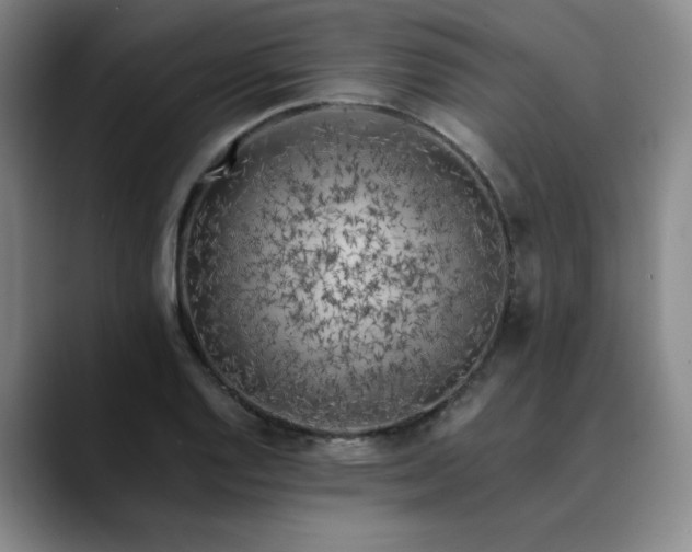 X0000089891128200707121826