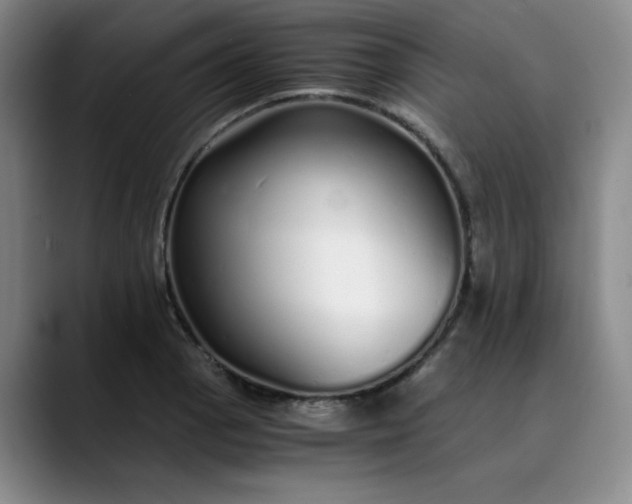 X0000089891129200707121826