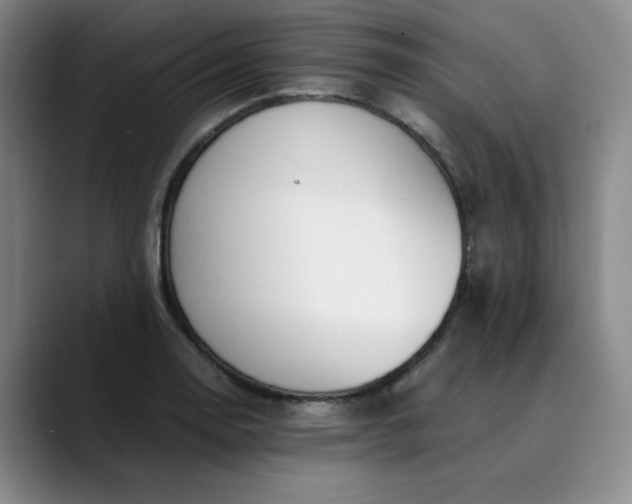 X0000089891130200707121826