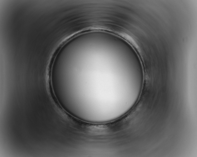 X0000089891133200707121826