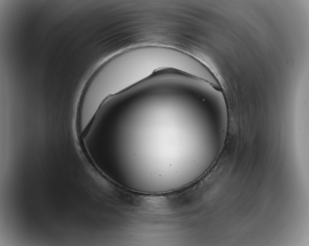 X0000089891136200707121826