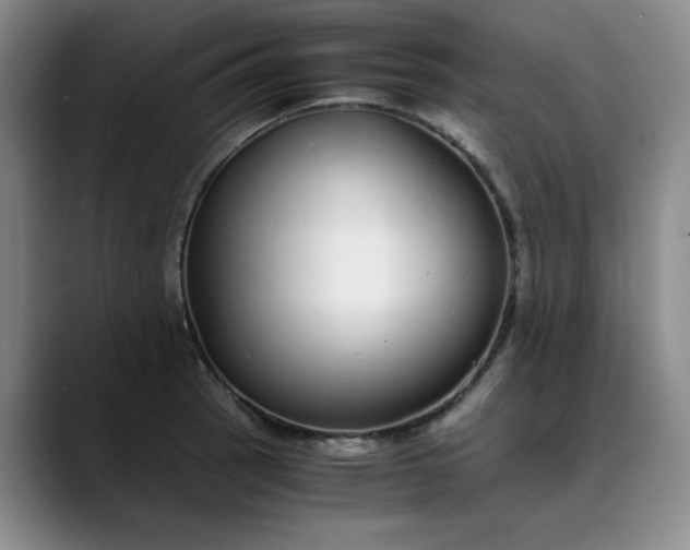 X0000089891137200707121826