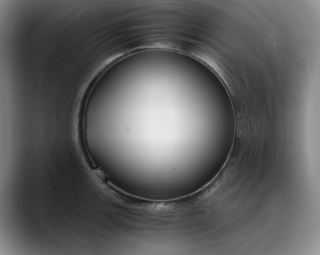 X0000089891139200707121826