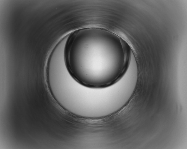 X0000089891140200707121826