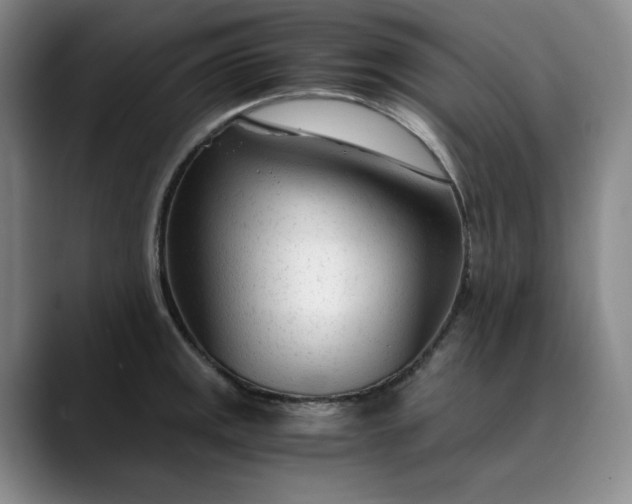 X0000089891141200707121826