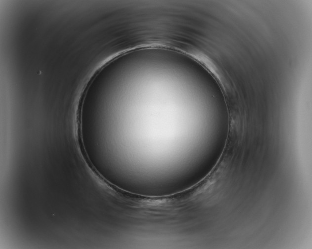 X0000089891143200707121826