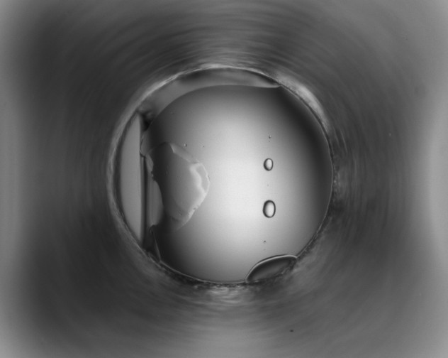 X0000089891146200707121826