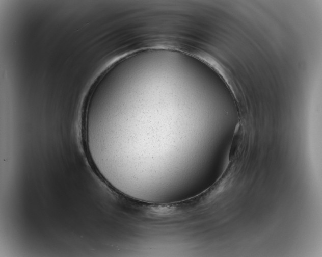 X0000089891147200707121826