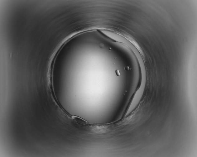 X0000089891148200707121826