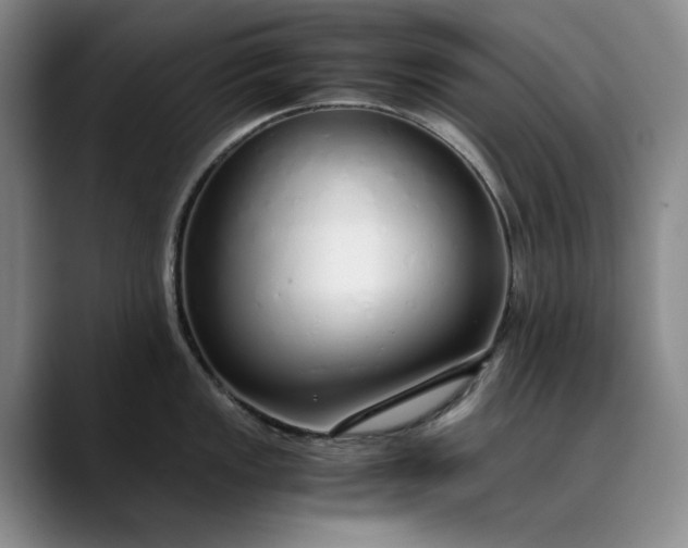 X0000089891149200707121826