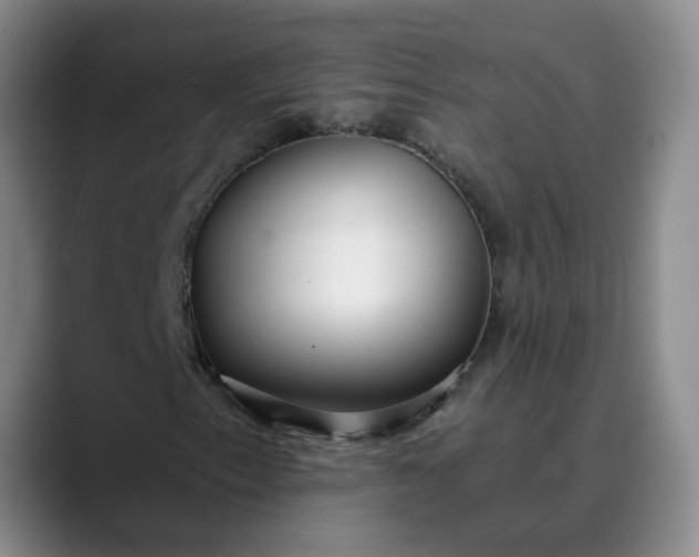 X0000089891153200707121826