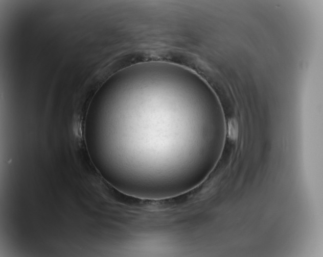 X0000089891155200707121826