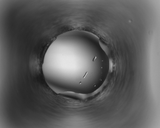 X0000089891156200707121826