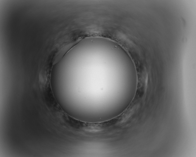 X0000089891157200707121826