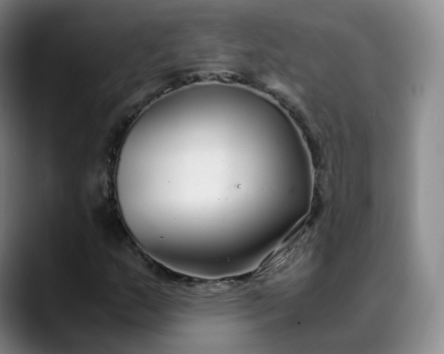 X0000089891159200707121826