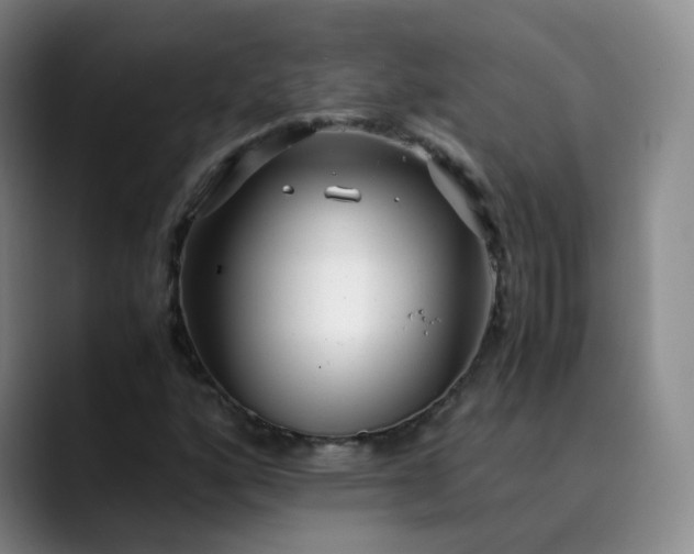 X0000089891160200707121826