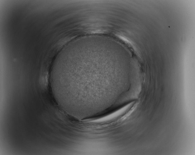 X0000089891161200707121826