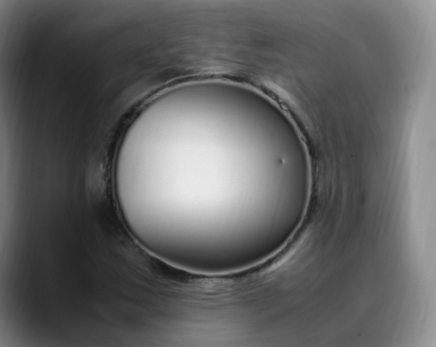 X0000089891163200707121826