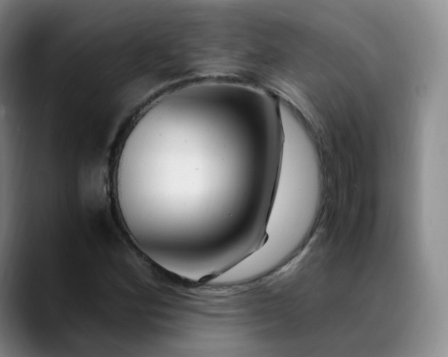 X0000089891164200707121826