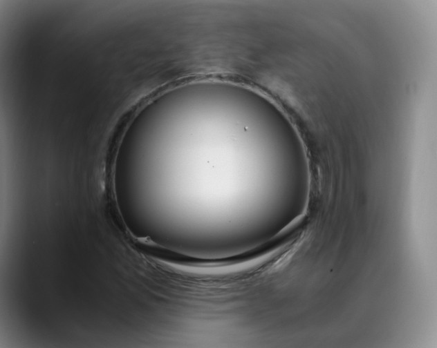 X0000089891165200707121826