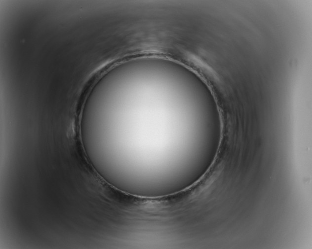 X0000089891166200707121826