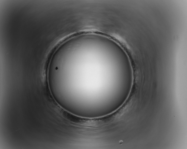 X0000089891167200707121826