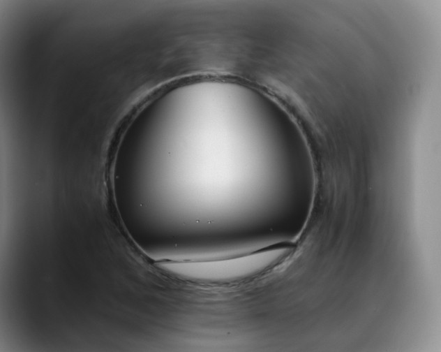 X0000089891168200707121826