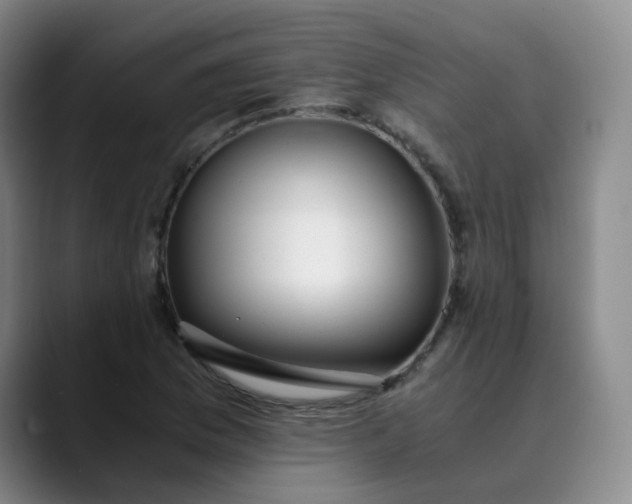 X0000089891169200707121826