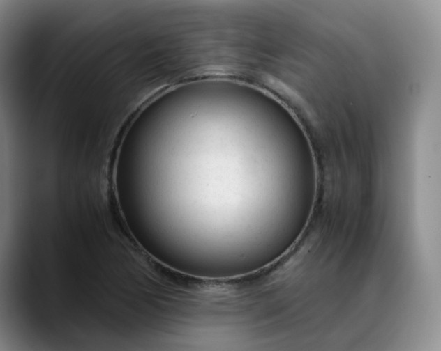 X0000089891170200707121826