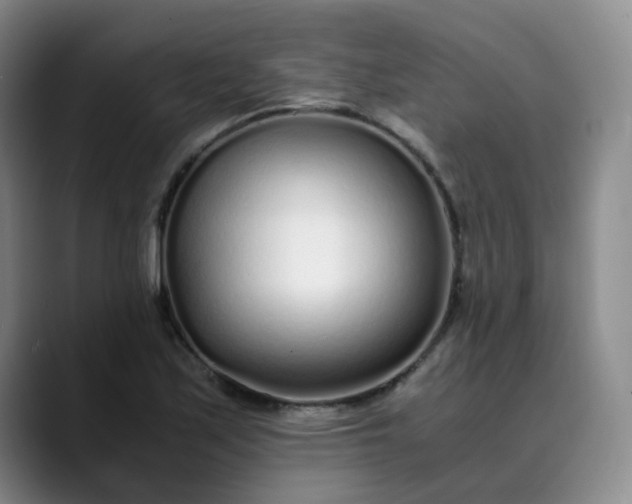 X0000089891171200707121826