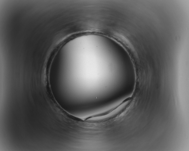 X0000089891172200707121826