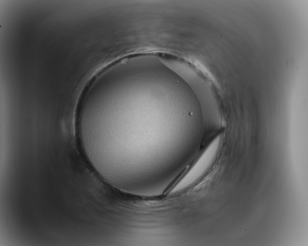 X0000089891173200707121826