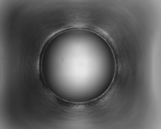 X0000089891174200707121826