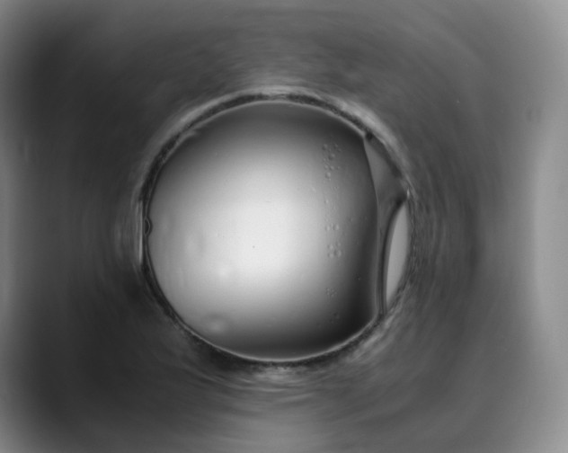 X0000089891175200707121826