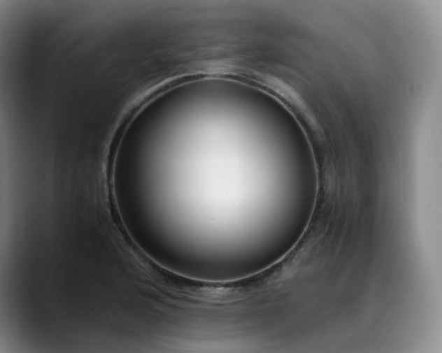 X0000089891176200707121826