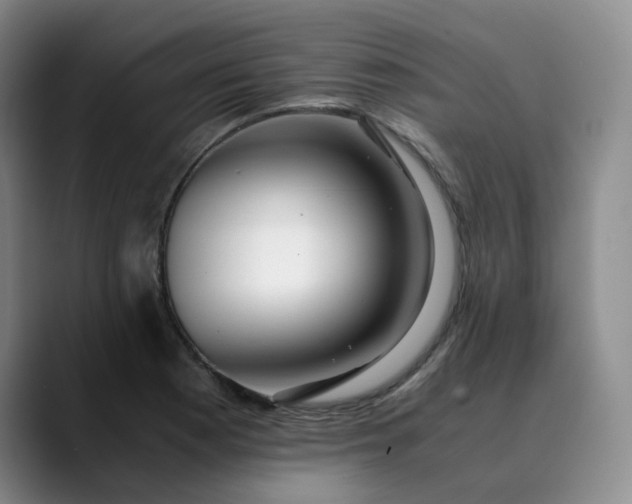 X0000089891177200707121826