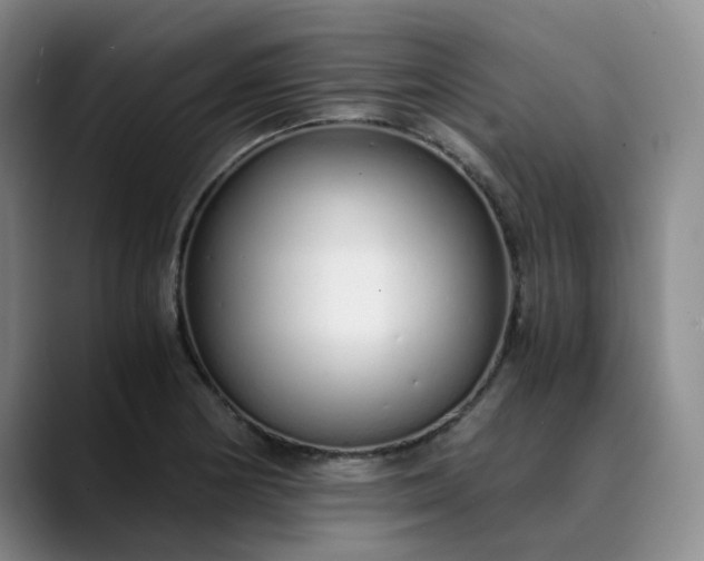 X0000089891178200707121826