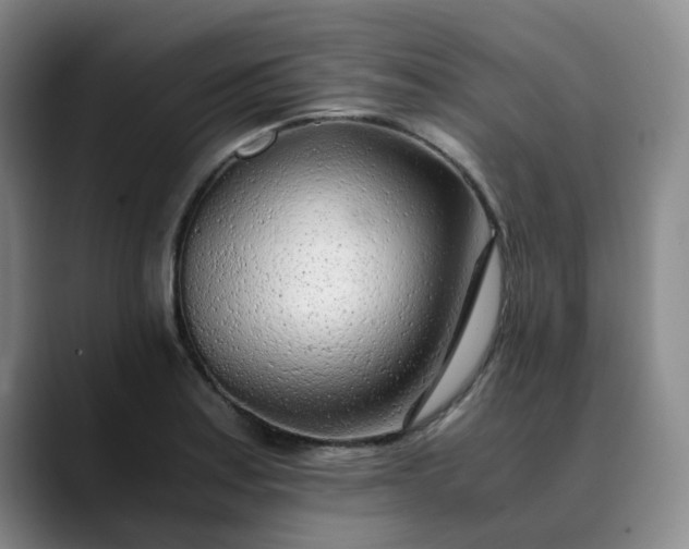 X0000089891179200707121826