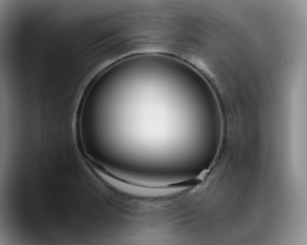 X0000089891181200707121826