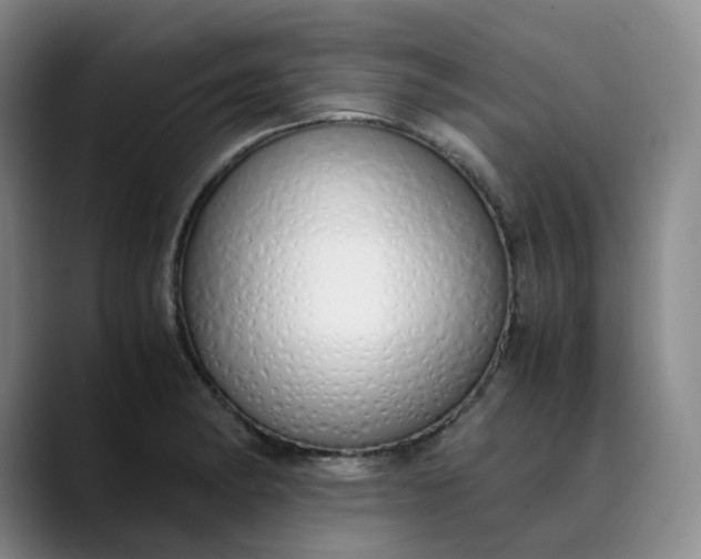 X0000089891182200707121826