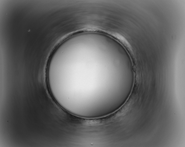 X0000089891183200707121826