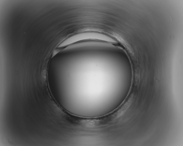 X0000089891185200707121825