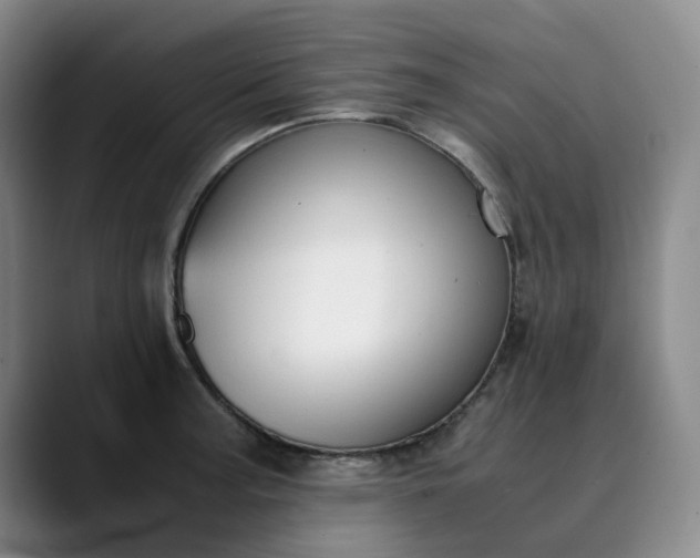 X0000089891187200707121825