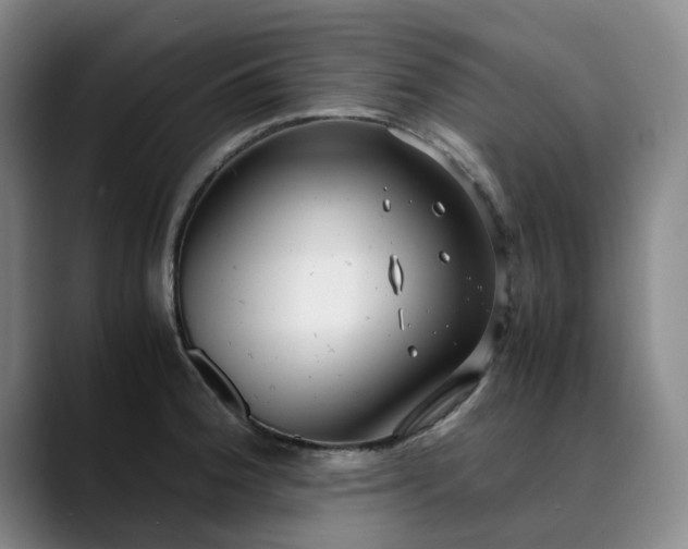 X0000089891188200707121825