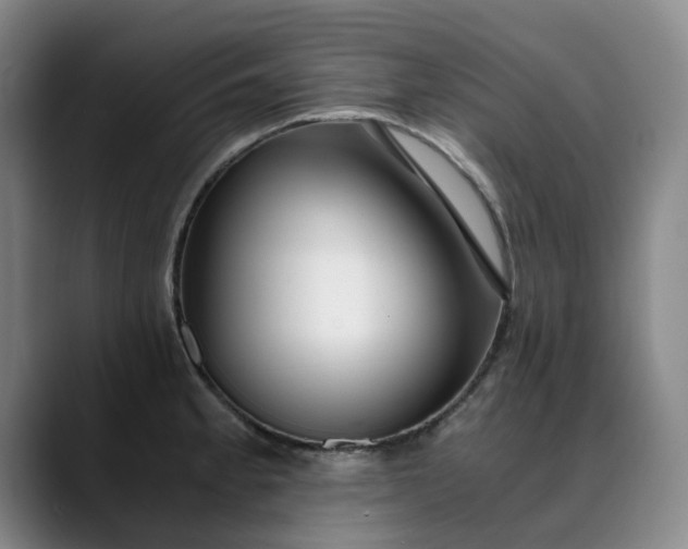 X0000089891189200707121825